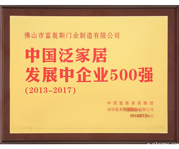 2013-2017 中国泛家居发展中企业500强